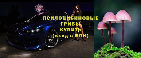 a pvp Пестово