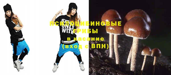 крисы Пересвет