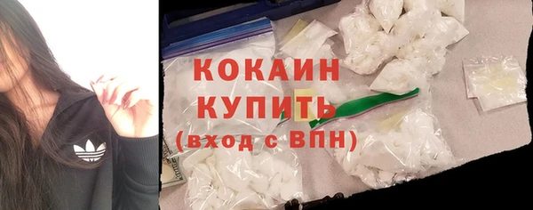крисы Пересвет