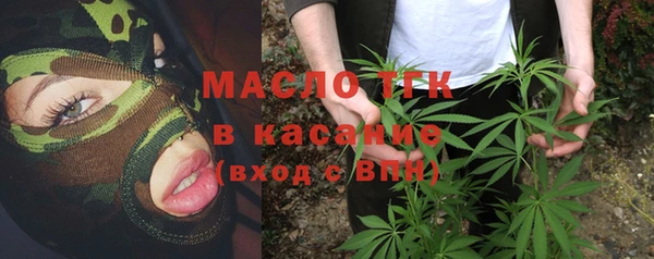 крисы Пересвет