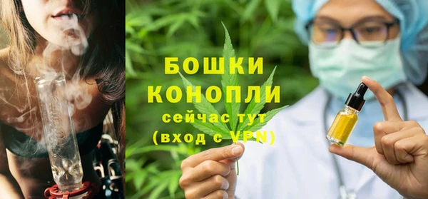крисы Пересвет