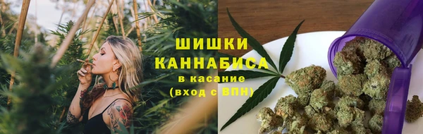 крисы Пересвет