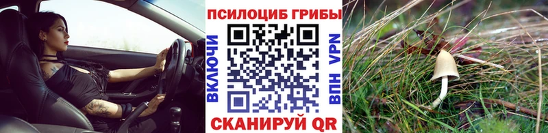 Галлюциногенные грибы прущие грибы  Купить  Северобайкальск 